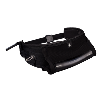 Stash Belt