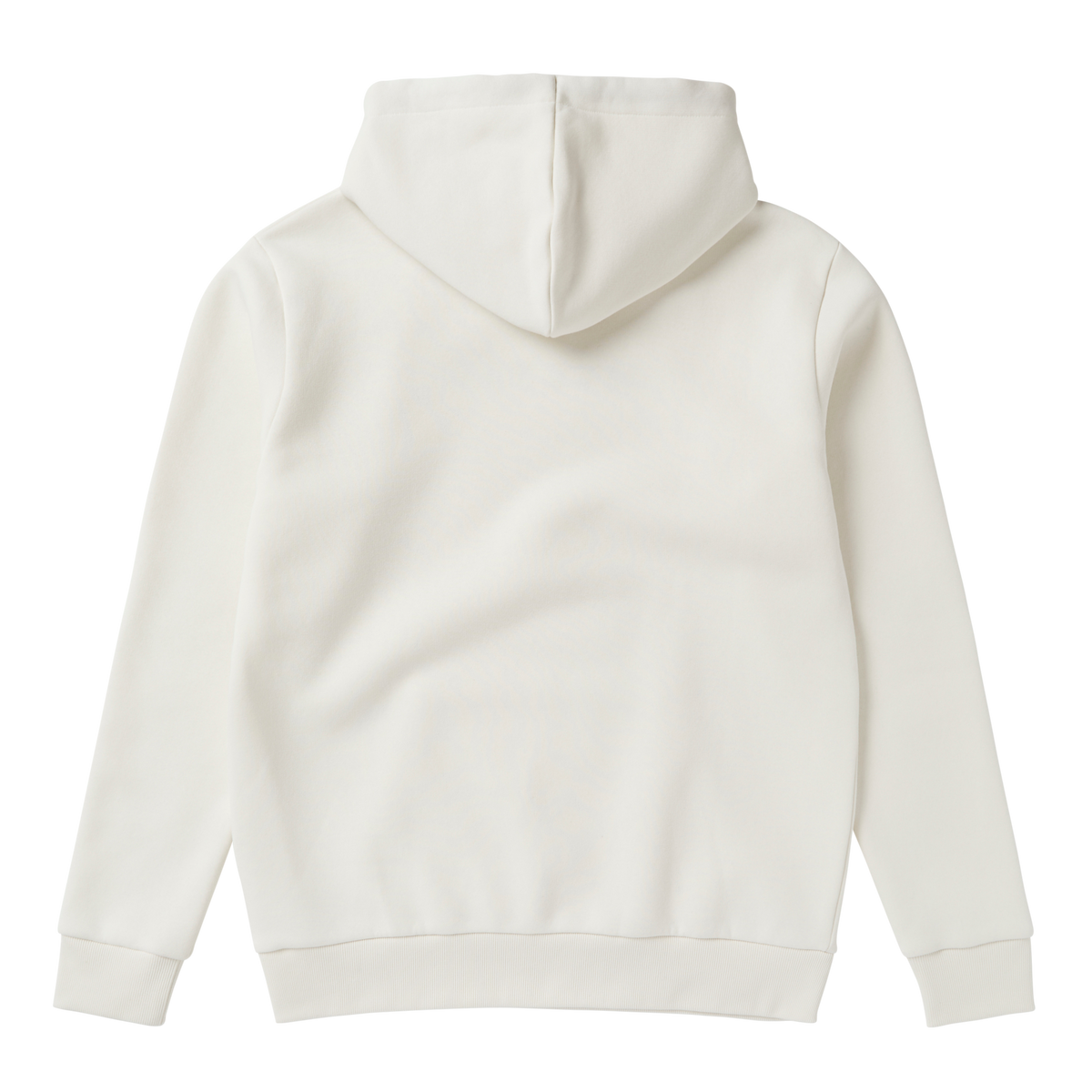 Icon Hood Sweat (2023)