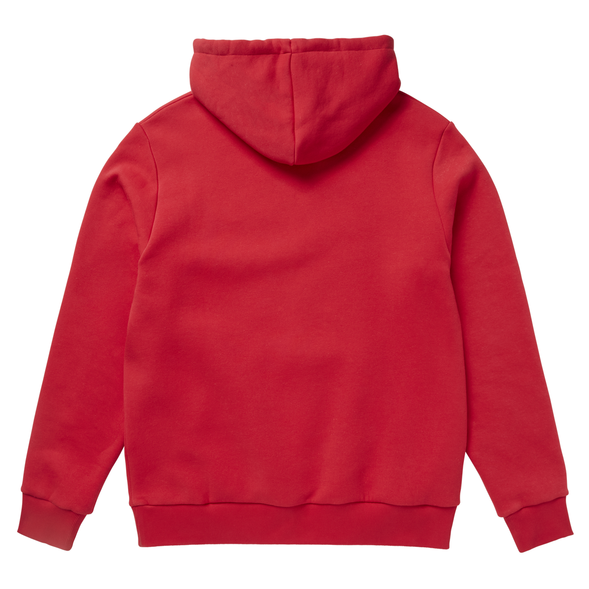 Icon Hood Sweat (2023)