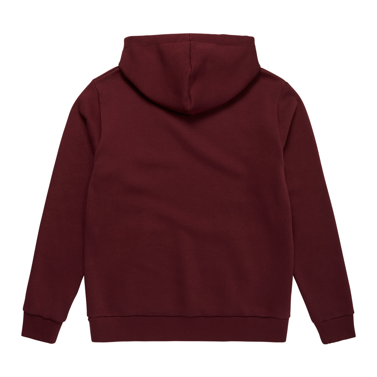 Icon Hood Sweat (2023)