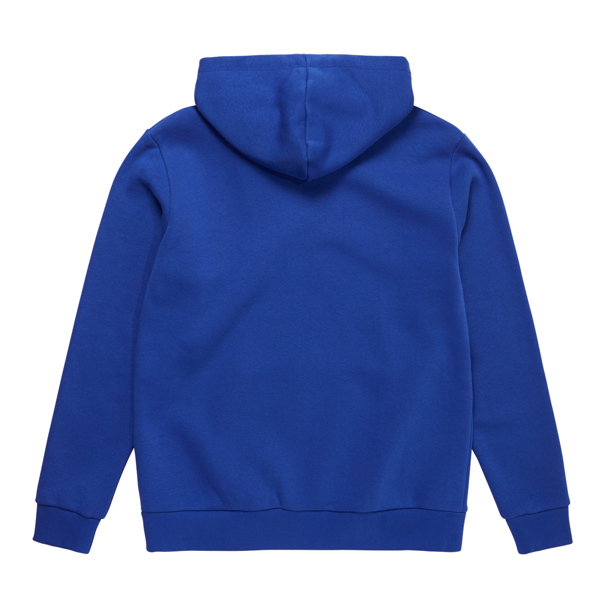 Icon Hood Sweat (2023)