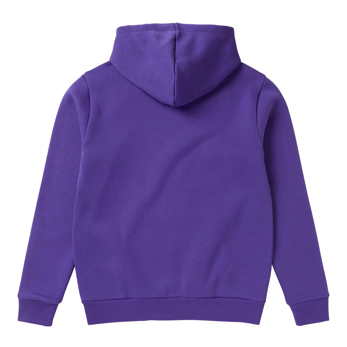 Icon Hood Sweat (2023)