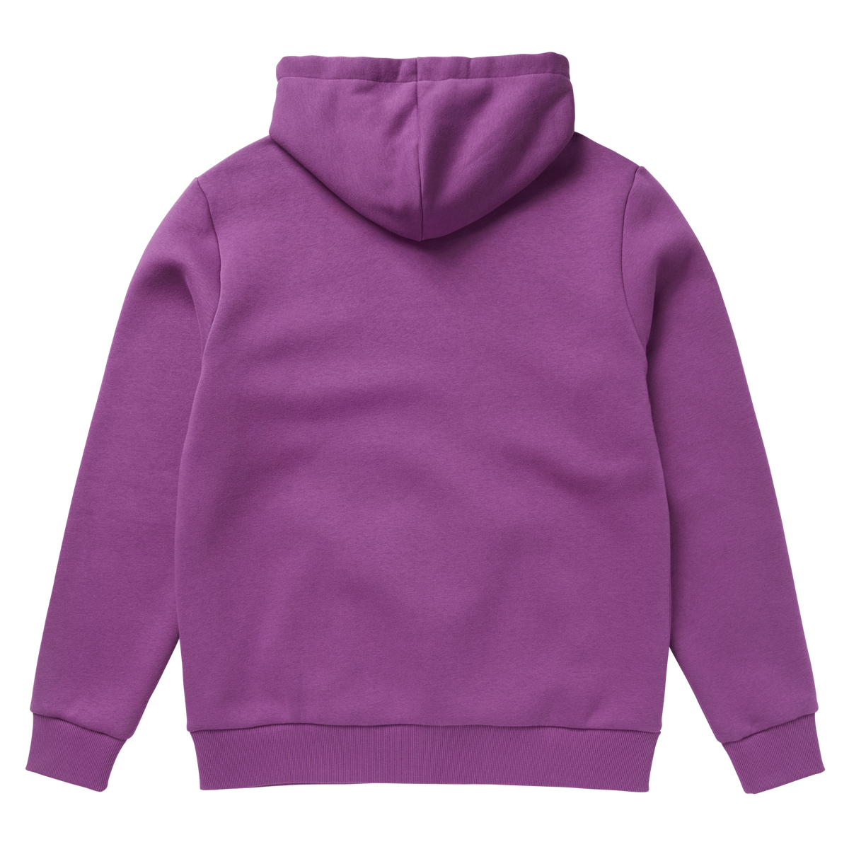 Icon Hood Sweat (2023)